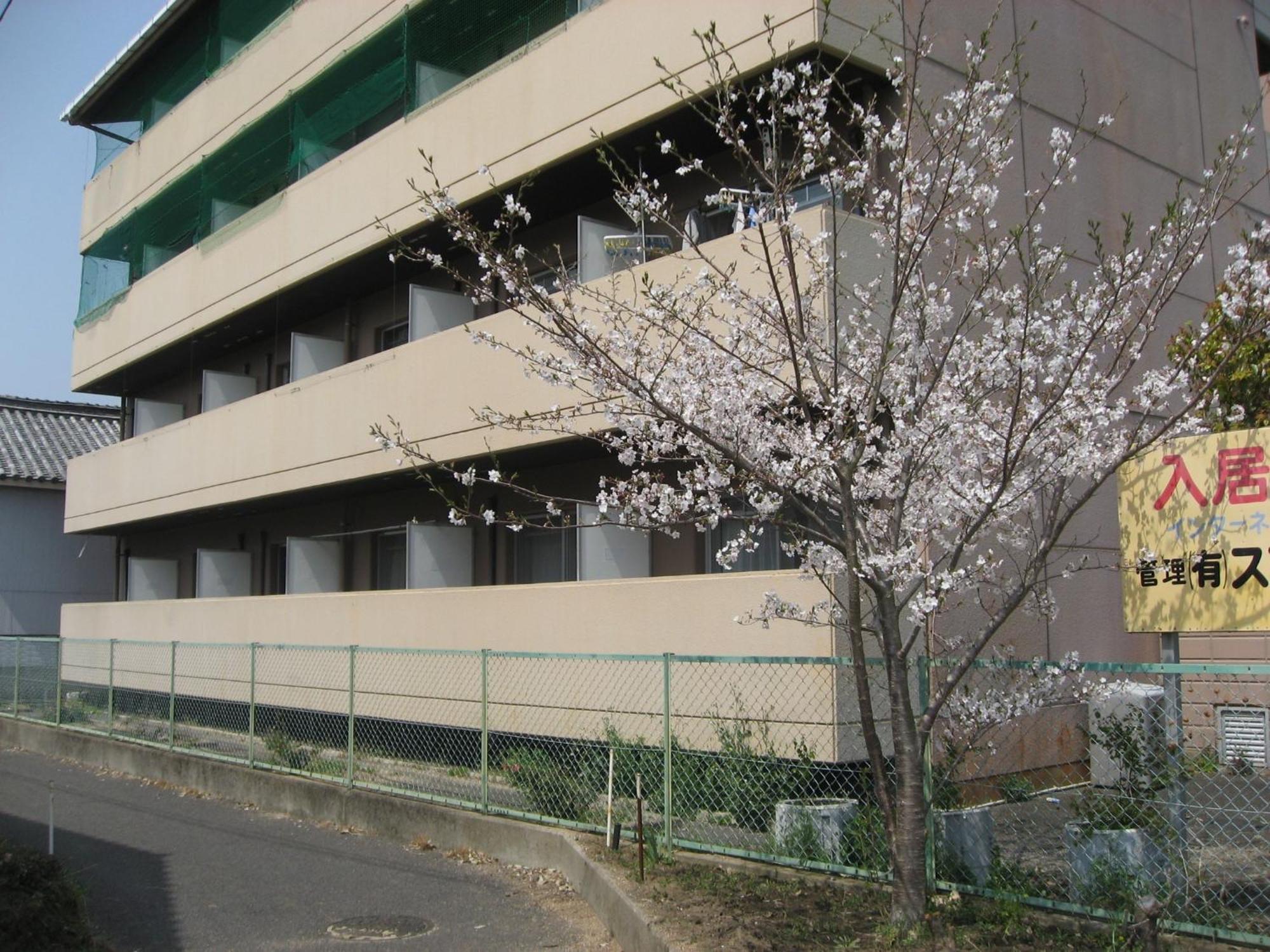 ベルエールokata South Building - Vacation 00305v